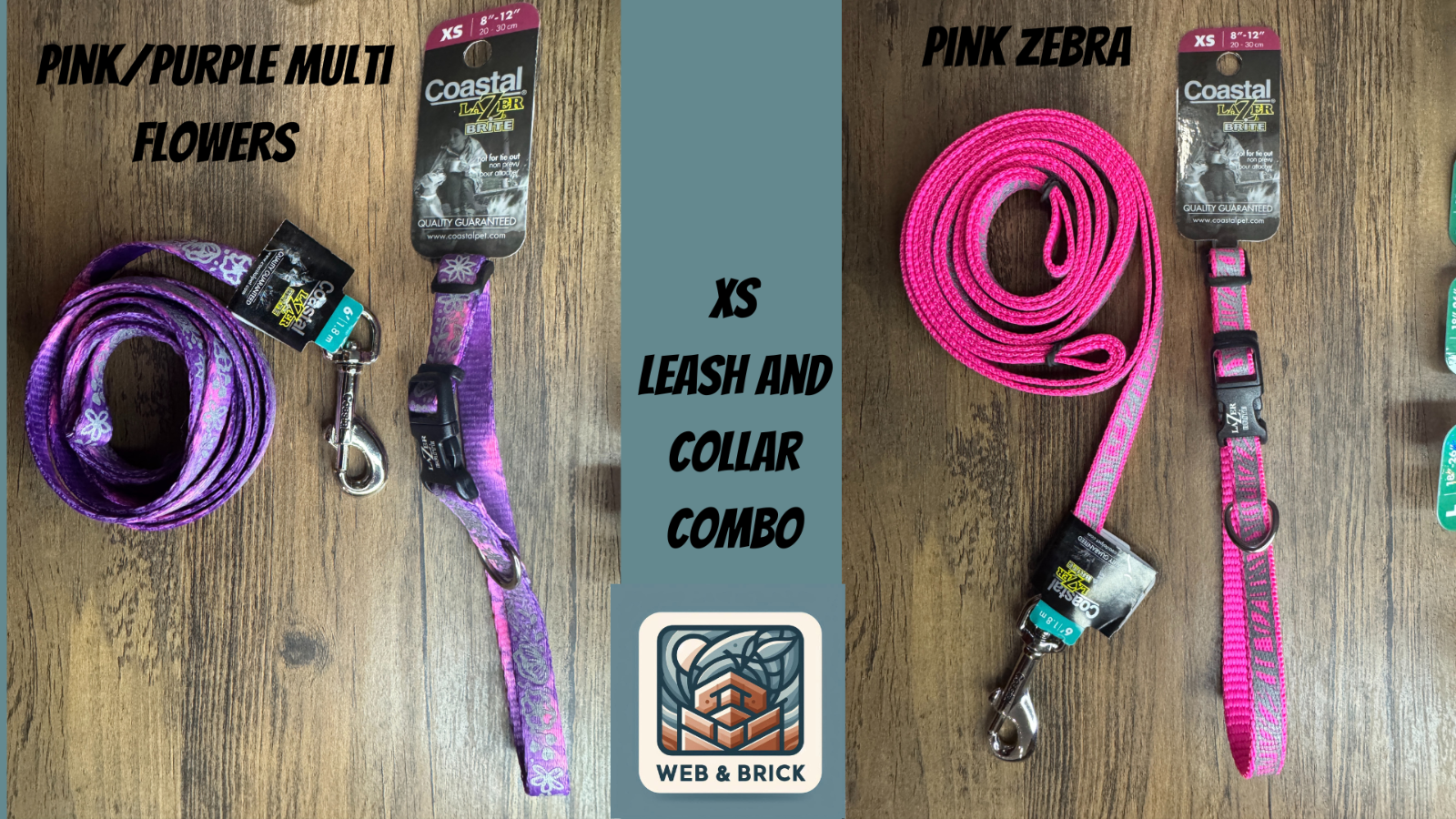 Lazer Brite Reflective Dog Leashes & Collars Choose Color and Size Swivel Clip